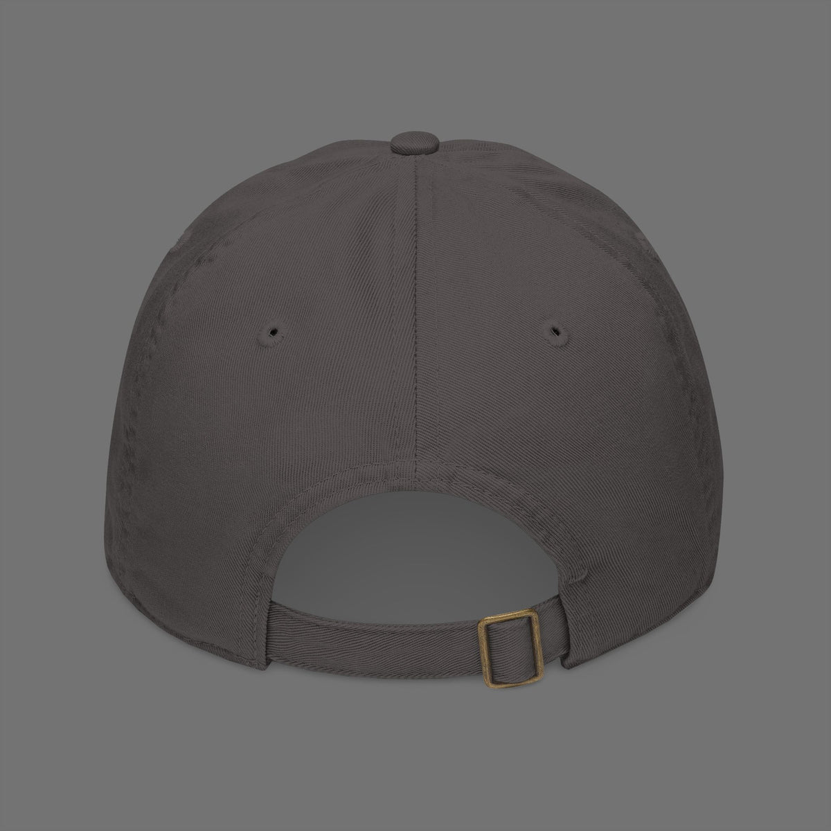 Dude Be Kind Organic Cotton Dad Hat